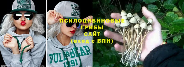 бошки Алзамай
