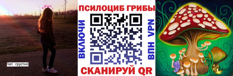 Псилоцибиновые грибы ЛСД  мега tor  Новозыбков 